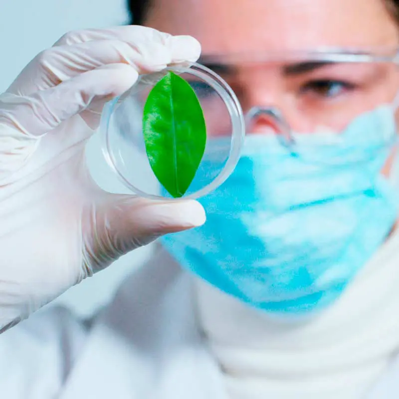 ¿Por qué estudiar Ingeniería Biomédica en Colombia? - razones de peso Ingeniería Biomédica Universidad Manuela Beltrán