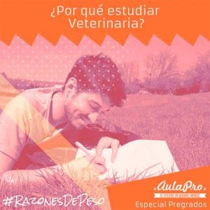 ¿Por qué estudiar Medicina Veterinaria? - razones de peso - Especial Pregrados - AulaPro